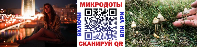 Псилоцибиновые грибы Psilocybine cubensis  Белая Калитва 